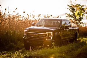 Ford F-250 Super Duty Platinum Tremor Off-Road Package Crew Cab 2019 года 